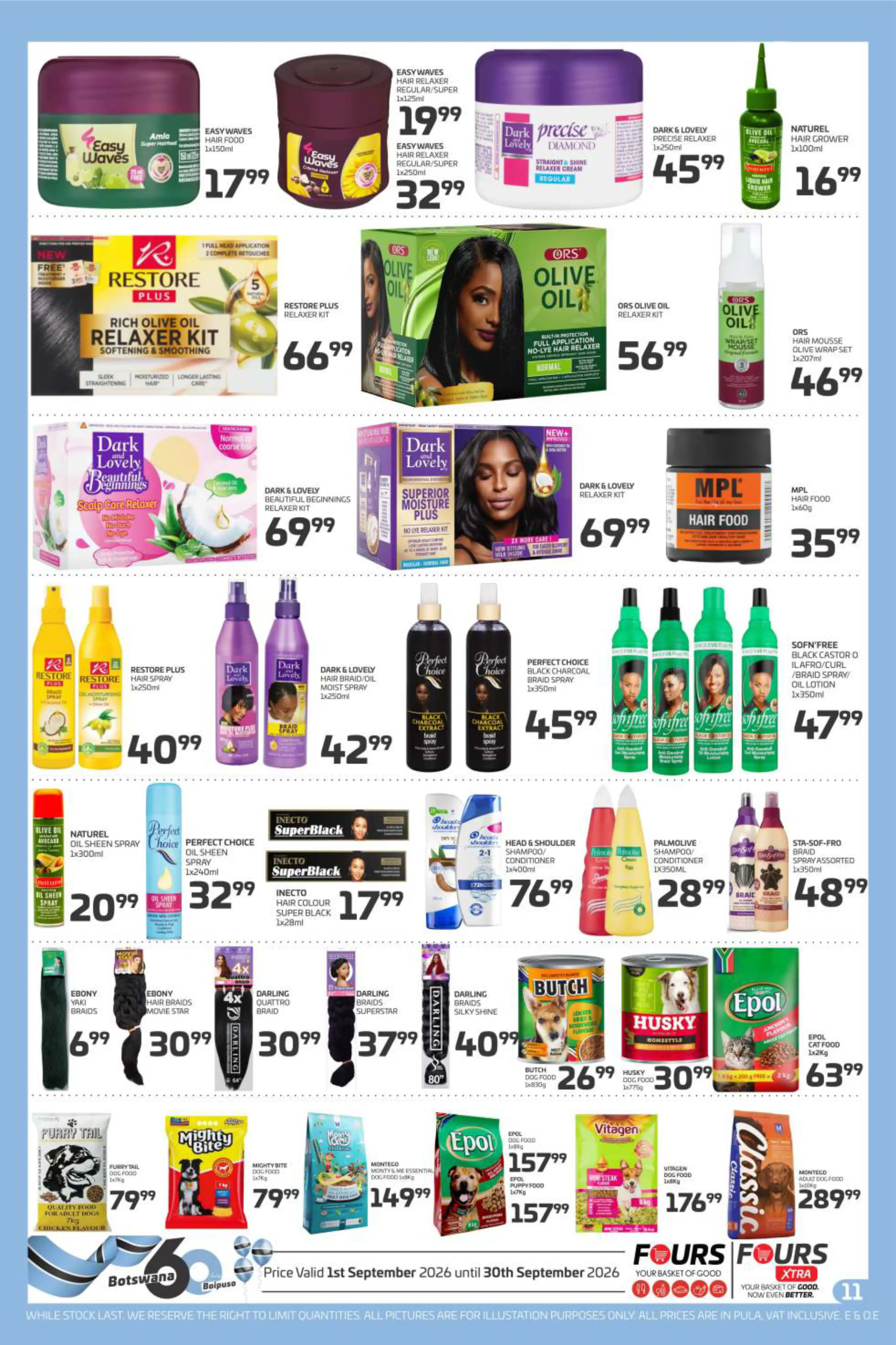 Promotion Flyer