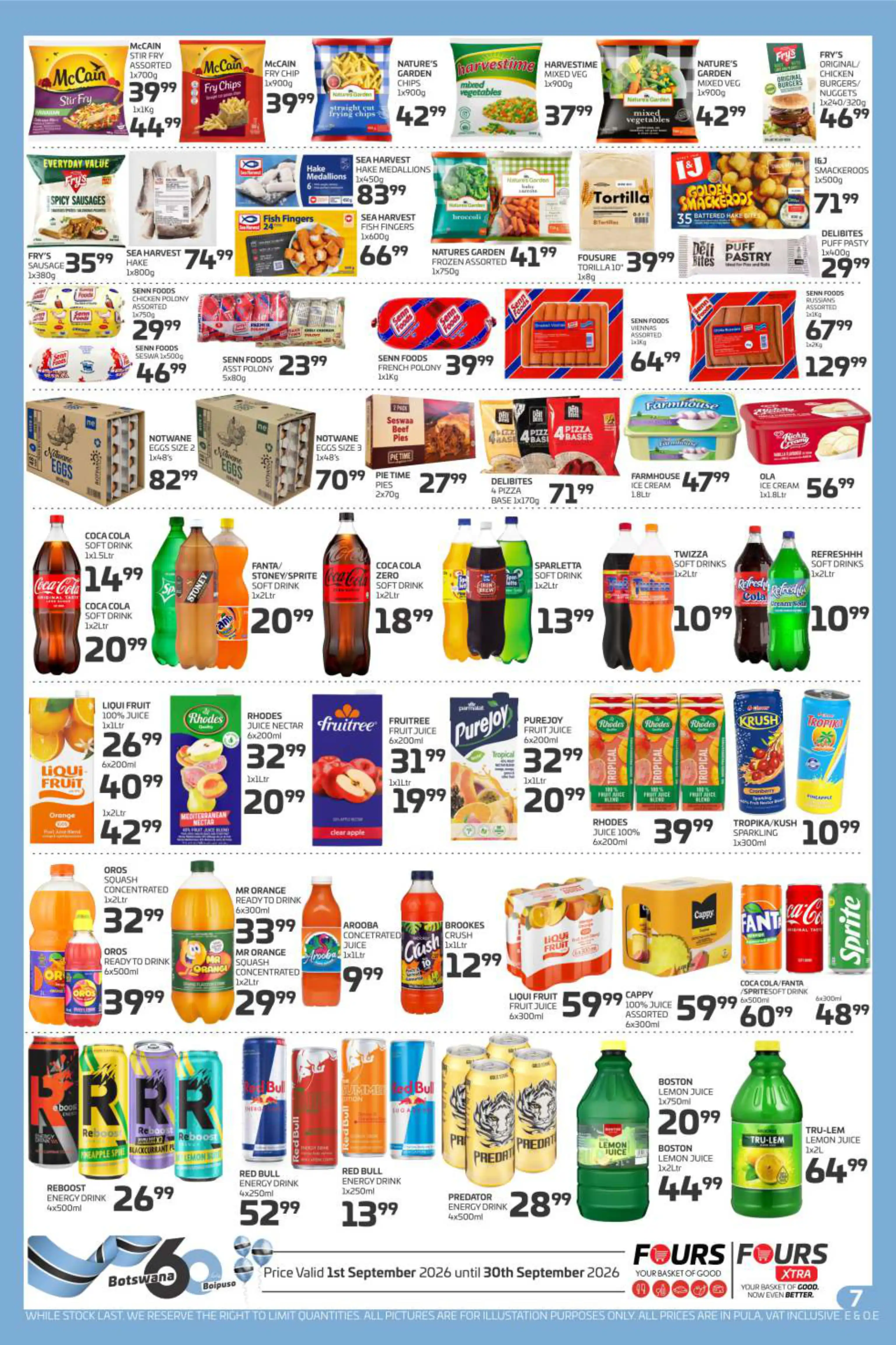 Promotion Flyer